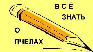 Чтобы о пчелах знать все