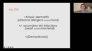 Little piece from Online course "Dozen of pruritic dogs: clinical cases" by Svetlana Belova, DipECVD