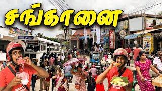  யாழில் மக்கள் துடிப்பாக உள்ள நகர்  | Chankanai Town | Jaffna Thanush