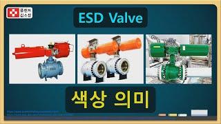 🟡🟢 빨간색, 노란색, 초록색 ESDV 색깔! 진짜 의미는? 실전 대박! (3분 순삭)