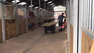 Sunday morning for a racehorse trainer, whilst the staff and horses take a well earned day off...