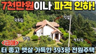 [312] 7000만원 파격 인하!393평인데 100평을 추가로 더 써요~ 뒤는 국유림! / 충청북도 제천시 백운면 전원주택 매매 #제천부동산 #전원주택