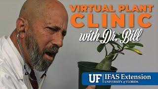 The Virtual Plant Clinic With Dr. Bill March 7, 2024