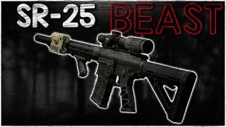 The SR-25 Is GREAT For Long Distance Combat | Solo Gameplay - Escape From Tarkov