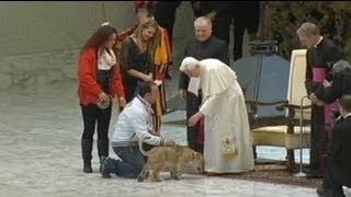 Fest und Vergnügen für Benedikt XVI