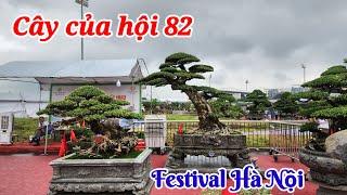 TL festival thủ đô. Khu trưng bày cây của hội 82 [VD 03]