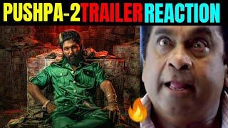 "PUSHPA THE RULE" TRAILER REACTION  || pushpa 2 Trailer || ALLU ARJUN || SUKUMAAR || RASHMIKA