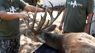 Giant Non-Typical Public Land Buck (16 Points)