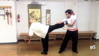 North Sky Kung Fu Fighting Techniques #1-10; the Basics