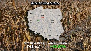 #254 agro wiadomości nonstop  - 21.05.2024