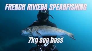 7kg sea bass : French Riviera Spearfishing in Saint Tropez