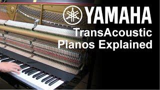 What Is A Yamaha TransAcoustic Piano? A Clear and Simple Explanation | Bonners Piano Centre