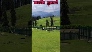 Kashmir Gulmarg #kashmir #gulmarg  #shorts #viral #shortsvideo #shortsfeed #kashmirtourism