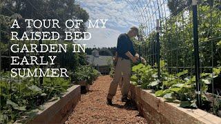 A Tour of my Raised Bed Vegetable Garden in June | Week-by-Week Insights and Tips!