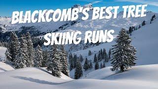 The Best Tree Skiing Runs on Blackcomb | Whistler Blackcomb Ski Guide