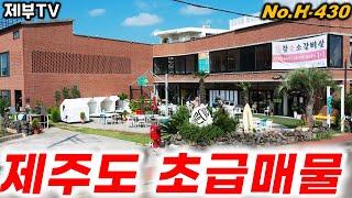 (초급매)33% 인하된 놀라운 가격으로 소개합니다 제주도가 점점 더 착해지고 있어요
