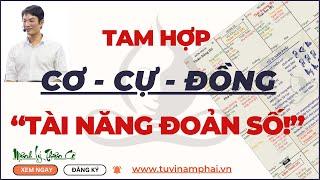 TAM HỢP CƠ CỰ ĐỒNG TRONG KHOA TỬ VI | TỬ VI LÊ QUANG LĂNG | TỬ VI NAM PHÁI | MỆNH LÝ THIÊN CƠ