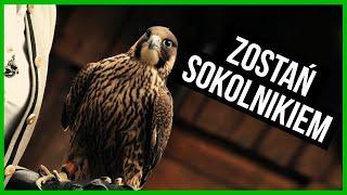 Jak zostać SOKOLNIKIEM? | Egzamin na sokolnika 