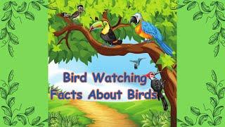 Bird Watching - Fun Facts About Birds | Toddler Lesson on Birds