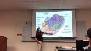 The Cell (Part I)- Dr. Jessica Guerrero
