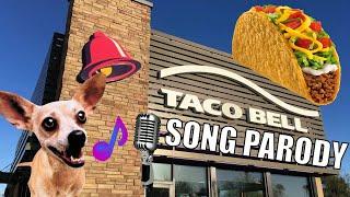 "Taco Bell" - Parody Anthem for Taco Tuesday!