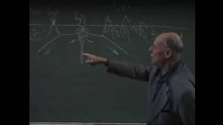 Лекция Дмитрия Ивановича Панова по курсу "Историческая геология"