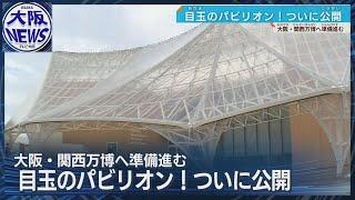 【目玉パビリオン完成】人間洗濯機、25年後の自分に会えるブース「大阪ヘルスケアパビリオン」