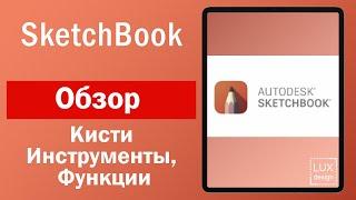 Sketchbook. Обзор. Кисти, инструменты и функции