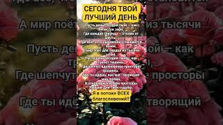 ПОТОК БЛАГОСЛОВЕНИЙ 🩷🩷🩷#просветление #осознанность #вселенная #душа #исцеление #счастье #сила #топ