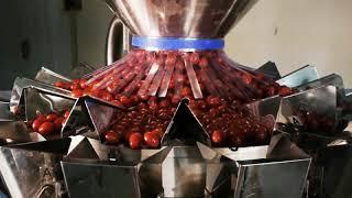 Automatic Weighing and Filling Cherry Tomato - Multi-head weigher with Container Indexing Conveyor