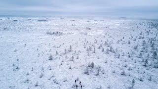 Hiking in Estonia | Soomaa bog