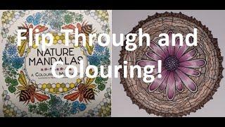 Adult Colouring Book Flip Through and Colour - Nature Mandalas by Melpomeni Chatzipanagiotou