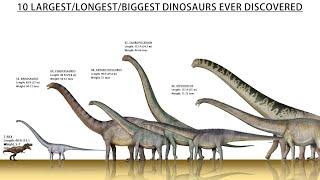 Top 10 Largest Dinosaurs Ever Found Till 2022