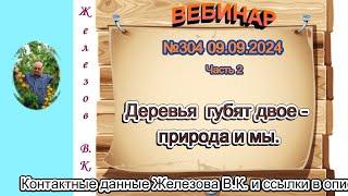 Железов Валерий.  Вебинар 304.  ч. 2.  Деревья губят двое - природа и мы.