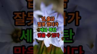 입,출금 잘못 했다가 세금 폭탄 맞을 수 있다#삶의지혜#좋은글 #인생조언
