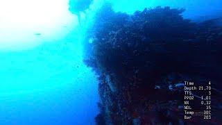 Full scuba Dive06