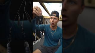 BEST Fishing Lure for BASS!? #fishing