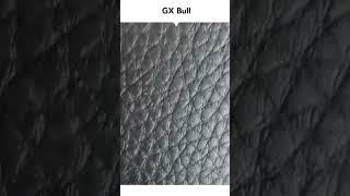 GX BULL - Vinyl Close Up - Amisco