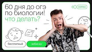 60 дней до ОГЭ по биологии! Что делать? | ОГЭ БИОЛОГИЯ 2022 | СОТКА