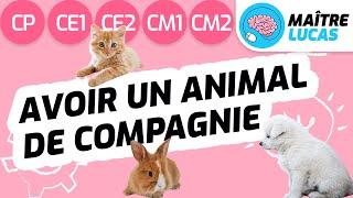 Adopter un animal de compagnie CP - CE1 - CE2 - CM1 - CM2-Cycle 2 et 3 Enseignement moral et civique