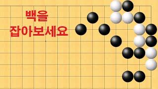 바둑 사활 - 이 보다 끝내주는 묘수는 없습니다. 백을 잡아보세요