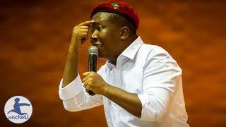 Julius Malema Challenges Africans to Stop Self Hating One Another