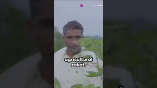 Zakat in Agriculture: A Quick Dive