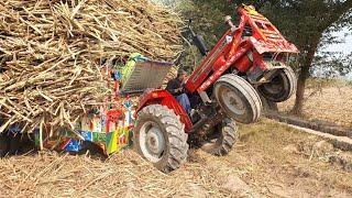 Mf 260 turbo with Extremely dangerous stunts pulling out a heavy loaded trolley