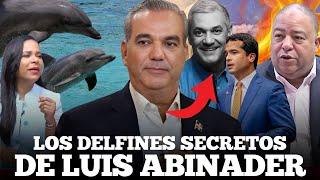 LA "IA" DESENMASCARA EL FENÓMENO DE LOS DELFINES: ¿BENEFICIO O MALDICIÓN POLÍTICA? (JORGE LENDEBORG)