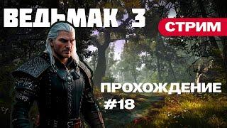 Прохождение Ведьмак 3. Продолжаем двигаться по сюжету | Часть №18