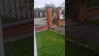 Красавчик Собакин!