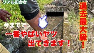 【スッキリ⁉︎】大用水路で詰まりとり【過去最大級】