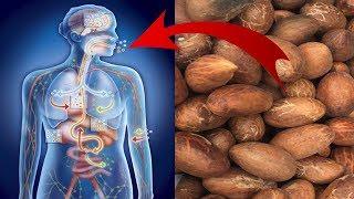 12 Amazing Health Benefits of Bitter Kola You Need to Know