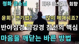 윤회 인과응보 연기법 등 많이 헷갈리고 헤매이시죠 마음을 깨닫는 바른 방법 | 반야심경 금강경과 참선의 핵심 | 청화스님 법문 19980412 미주 3년결사회향법회